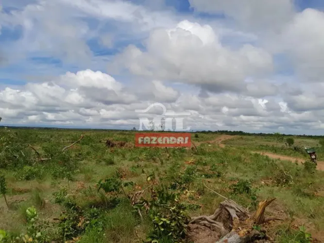 Fazenda 454 Alqueires (2.197 Hectares) - Paranã TO