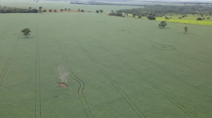 Fazenda a venda no Goiás!!!
