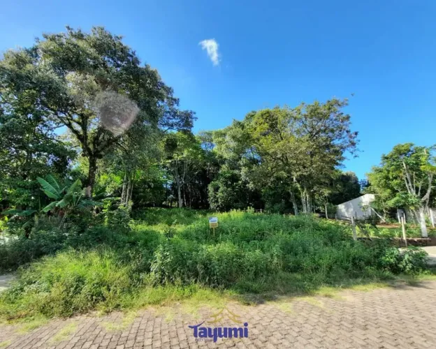 Terreno à venda MONTE VERDE, SANTA CRUZ DO SUL - RS | Monte Verde