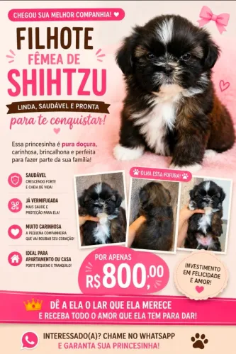 Mini Shih-Tzu Ursinho de Pelúcia Fêmea