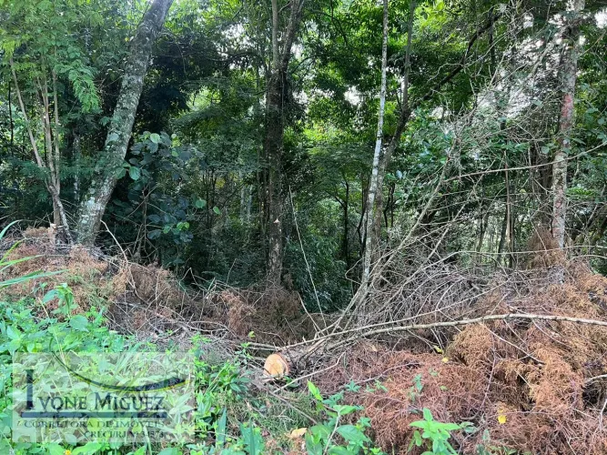 Terreno em Retiro das Palmeiras - Miguel Pereira