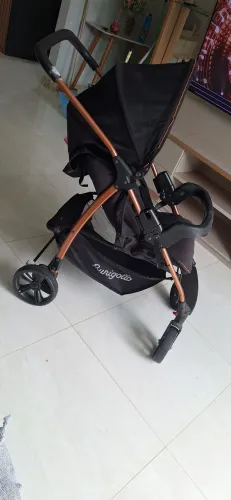 Carrinho Burigotto