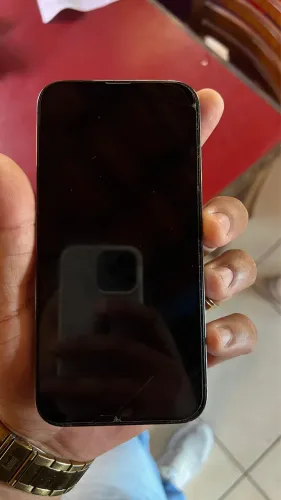 iPhone 13 Pro Max Conservado!