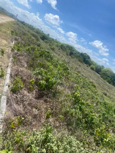 Terreno a venda