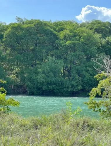 Terreno 1.410m2 na Rota Ecológica dos Milagres, frente de rio Tatuamunha e 300m da Praia