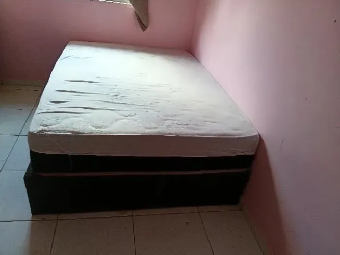 Faço esse vamos em tudo