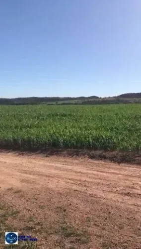 Fazenda à Venda em Silvânia GO | 102 Alqueires | Alta Produtividade