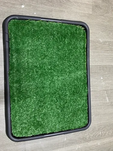 Tapete sanitário canino
