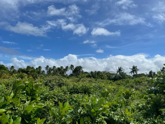Terreno à venda na Barra de Sto Antônio