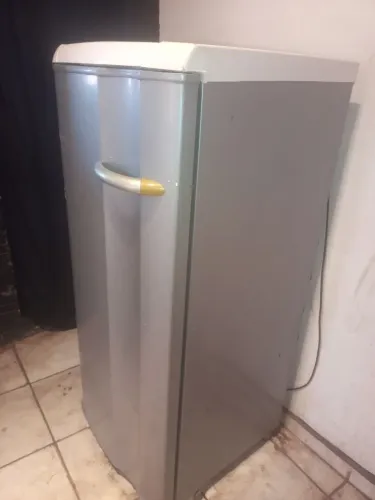 Freezer vertical 