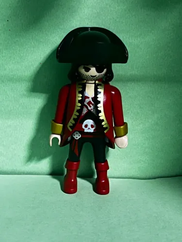 Boneco Playmobil 