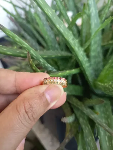 Linda meia aliança em Ouro 18k,com Pedras preciosas