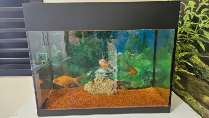Aquário 50 litros