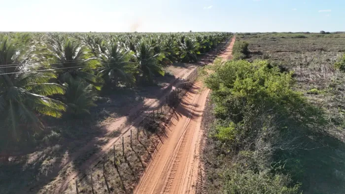 Investidores do Agronegócio: Oportunidade Unica!