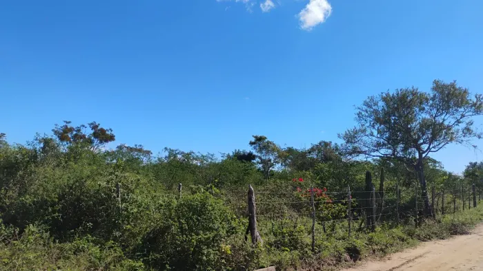Área de terra a venda próximo ao jardim Brasil