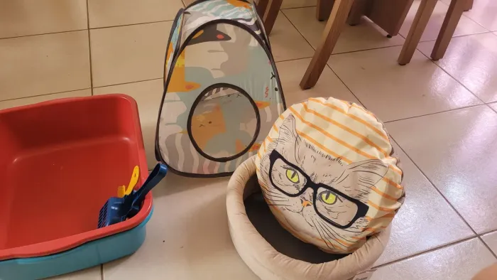 Caminha, casinha e caixa higiênica