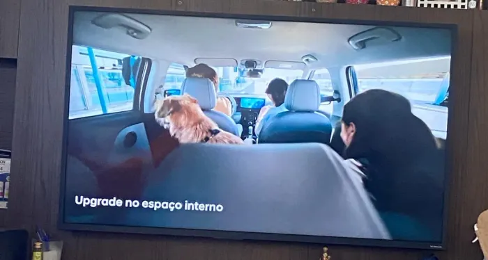 Televisão