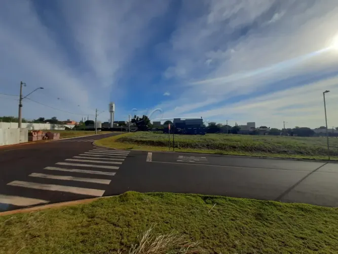 Terreno - Condomínio à Venda, 416 M² Alto da Boa Vista- Cravinhos