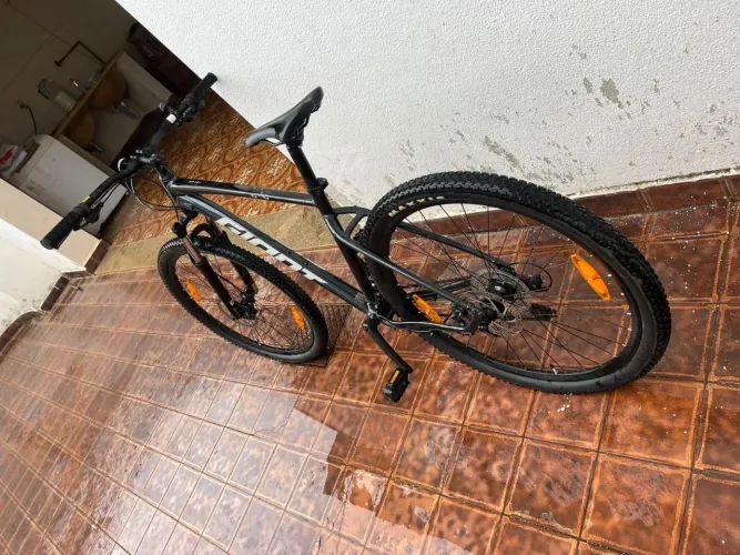 Bicicleta Mtb Giant 29 Talon 2 Cinza Cromo Shimano Altus Tamanho Do Quadro M