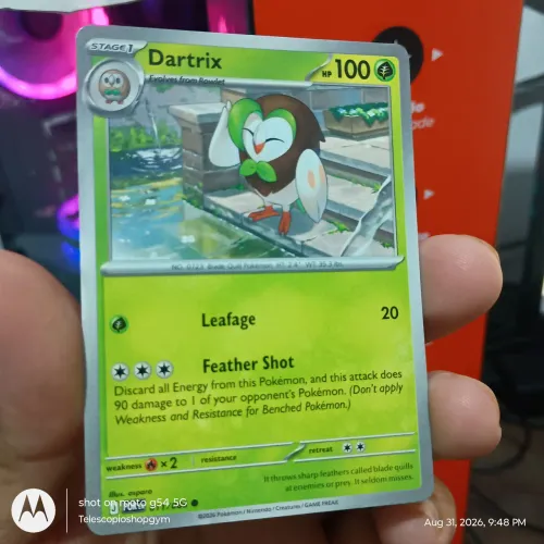 TCG Dartrix Pokemon POR EN Stage 1