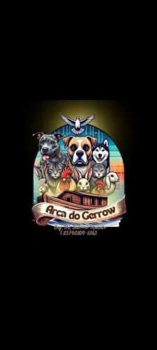 Gato Persa