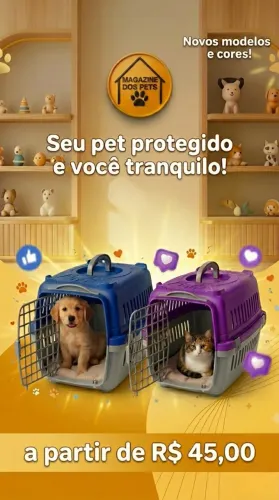 Caixa de transporte 