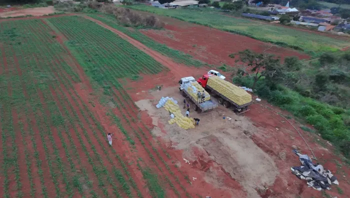 Silagem  de milho top 100% das espigas!?