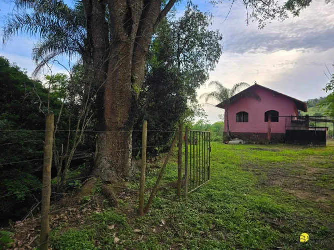Excelente Oportunidade em Moeda: Chácara com Fogão a Lenha e Mais de 50 Pés de Jabuticaba!