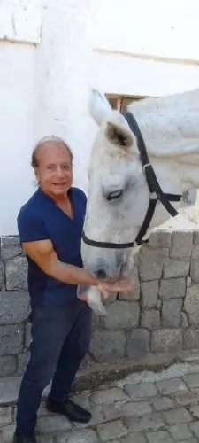 CAVALO DE SALTO REGISTRADO BH. CASSILANO JMEN VIII. (( JAMES BOND) PISTA 1.30M