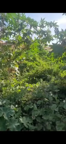 Lote à venda, BARRA NOVA, Marechal Deodoro, AL