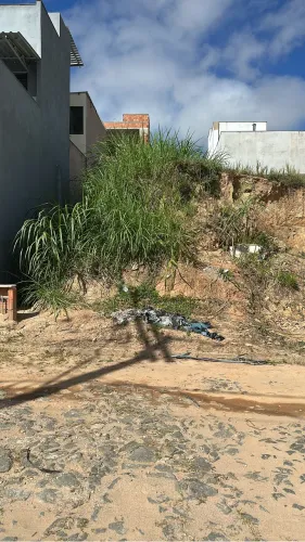 Terreno