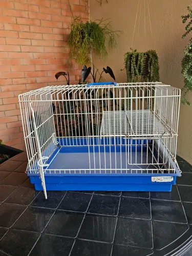 Gaiola para coelho/chinchilla/ porquinho da índia/ rato twister