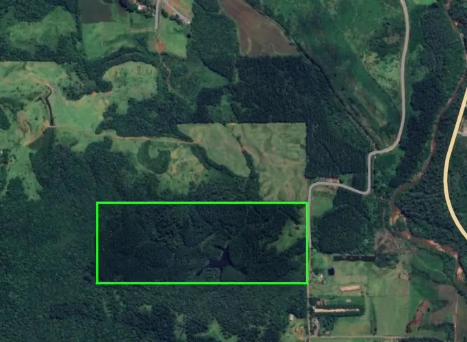 Sítio / Fazenda com 30 hectares em Treviso - eucalipto, açude e rio