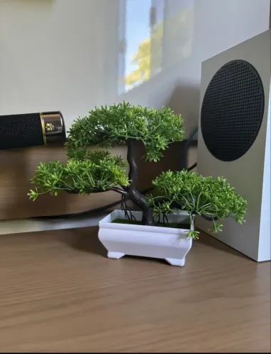 Bonsai Decorativa