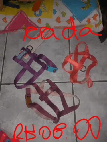 Acessórios Para Pet Novos