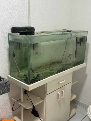 Aquário 200 litros
