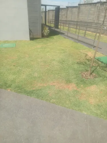 Jardinagem completa
