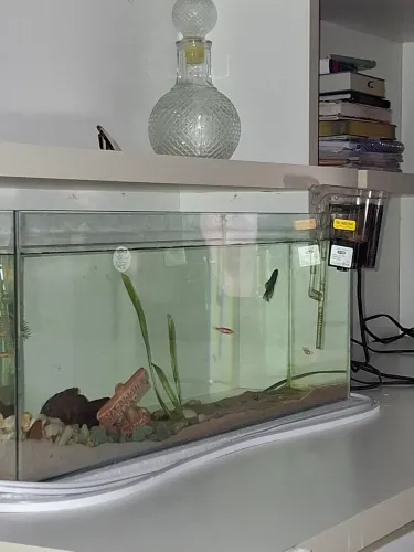 Aquário 35 litros