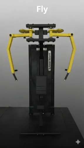 Equipamentos de Musculação