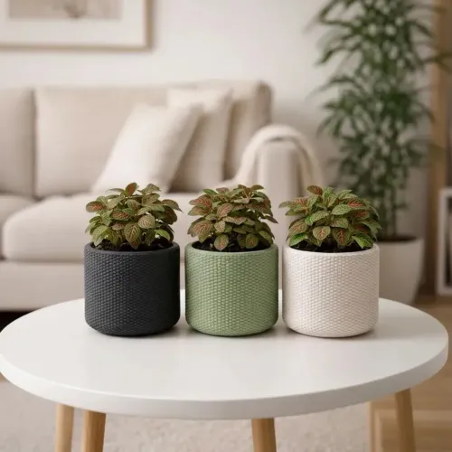 Vaso Decorativo Texturizado para Plantas C/ Bandeija Coletora Oculta