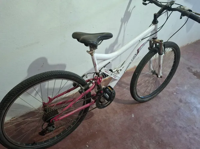 Bicleta