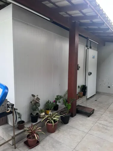 Câmara fria