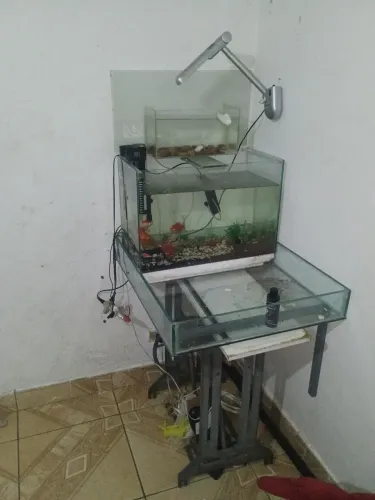 Aquário em 3 níveis