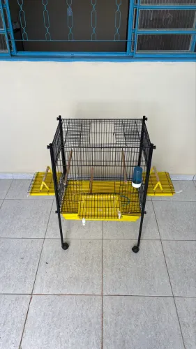 Gaiola para calopsitas