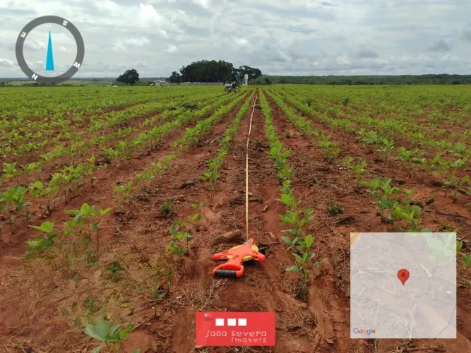 Fazenda para Venda em Almas