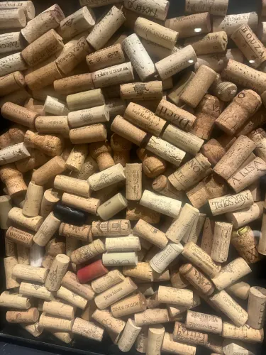 Kit 100 Rolhas de Cortiça de Vinhos Variados para Decoração e Artesanato