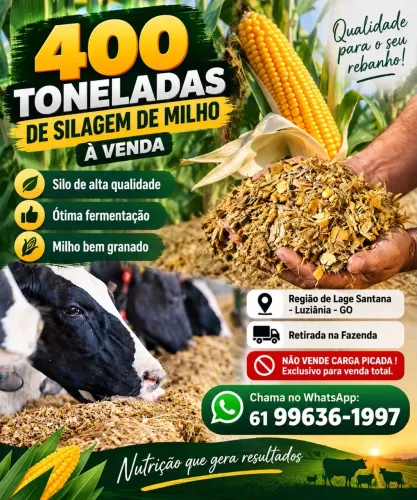 Vendo Silo