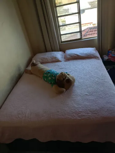 Cama Queen