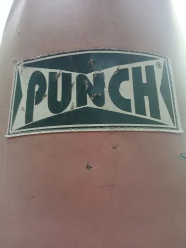 Saco de pancada Punch