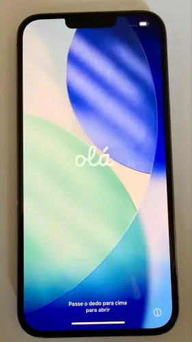 iPhone 13 Pro Max 256GB | Estado de Novo